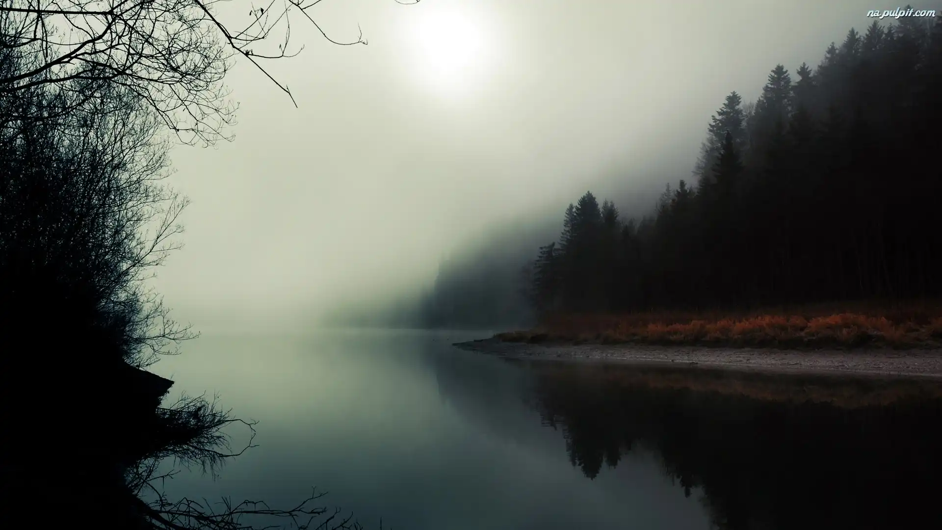 Mgła, Rzeka, Las Na Pulpit